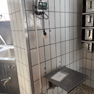 SYSTEC Wandwaage (440063)